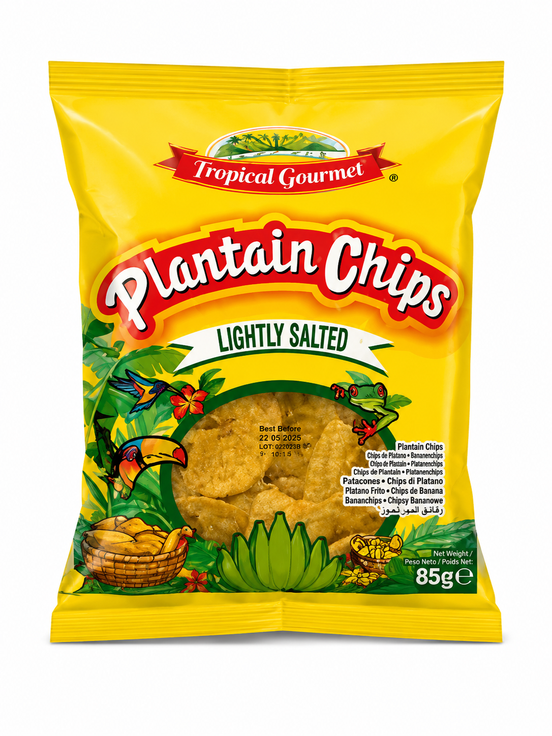 Tropical Gourmet Plantain Chips Lightly Salted 85g